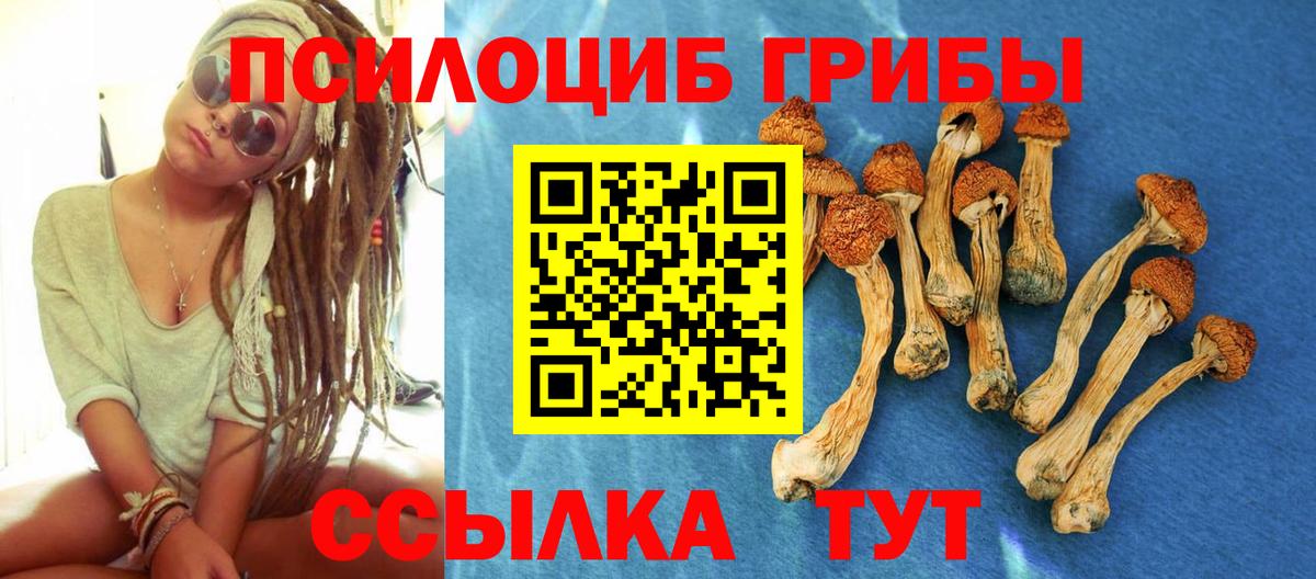 Назрань  Псилоцибиновые грибы GOLDEN TEACHER  Вход с VPN  Псилоцибиновые грибы Psilocybe 